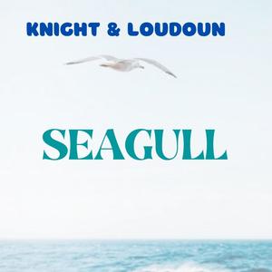 Seagull