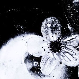 so tired so sleepy (Explicit)