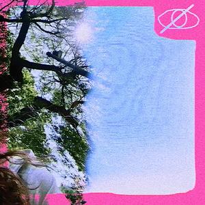 Pollen (feat. shybot & Buffalobang)