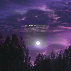 FULL MOON NIGHT (Explicit)