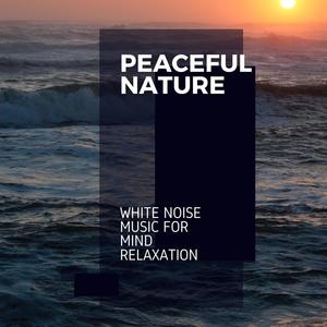 Peaceful Nature - White Noise Music for Mind Relaxation