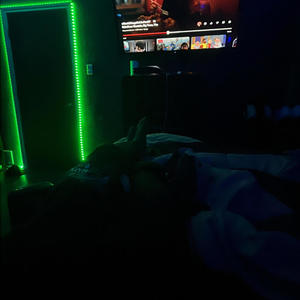 Let Me Know (feat. byelandoee) (Explicit)