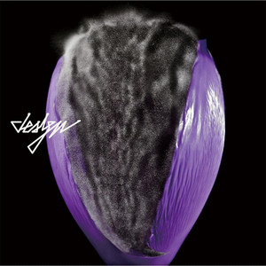 D.I.S.C.O. (迪斯科)