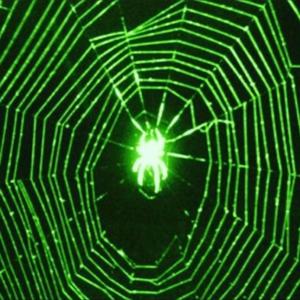 Hurrikurana (feat. Ty Gets) (Explicit)