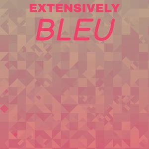 Extensively Bleu