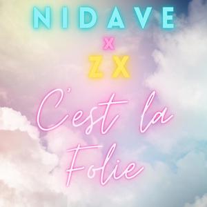 C'est la folie (feat. ZX)