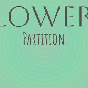 Lower Partition