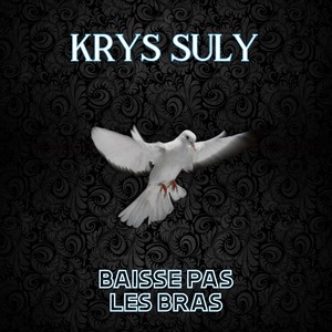 Baisse pas les bras (Radio Edit)