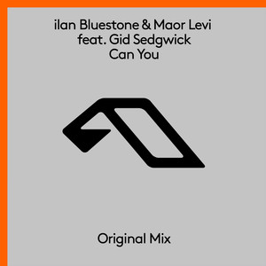 Ilan Bluestone - Can You