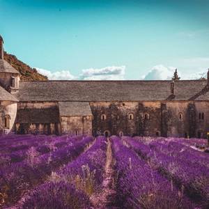 Lady Of The Sanctrum