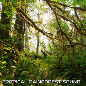 Tropical Rainforest Sound (feat. Discovery Nature Sound, Discovery Rain Sound, White Noise Soundscapes, White Noise Sleep Sounds, Water Soundscapes & Tropical Soundscapes)