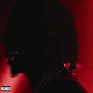 SRT Musik (Explicit)