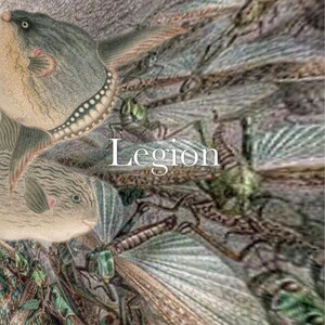 Legion