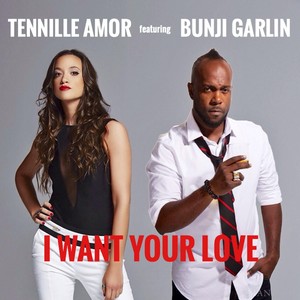 I Want Your Love(feat. Bunji Garlin)