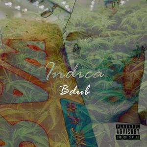 Indica Bdub (Indica Badu Remix) [Explicit]