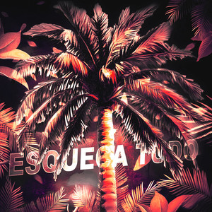 ESQUEÇA TUDO (ULTRA SLOWED)