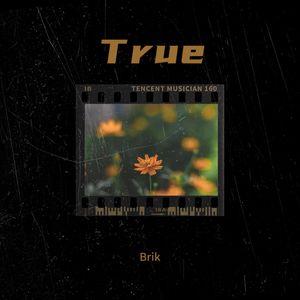 True (Original Mix)