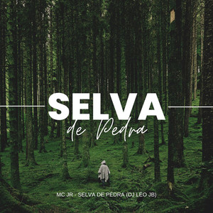 Selva de Pedra (Explicit)