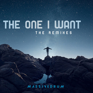 The One I Want (Jazzy 22 Remix|The Remixes)