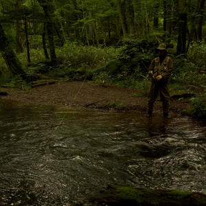 Mist 靄 (feat. Forestry)