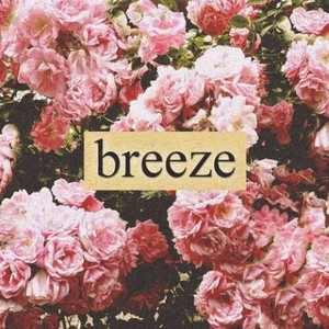 Breeze