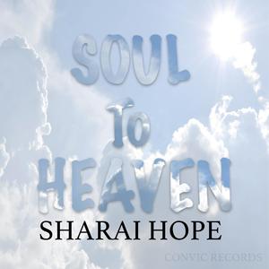 Soul To Heaven