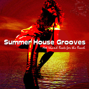 Disco Flight (Deibys Marquez & Fernando Picon Mix)