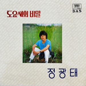 정광태 (도요새의 비밀)