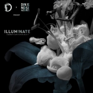 Illuminate (Onset Audio x Din Is Noise Records)