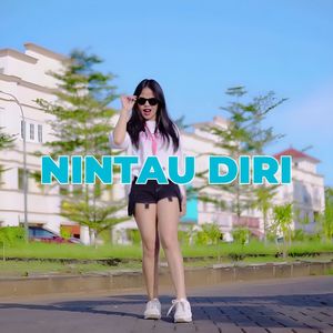 NINTAU DIRI