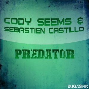 Predator (Radio Edit)
