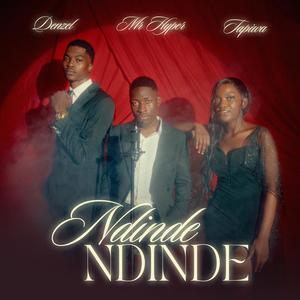 NDINDE (feat. Tapiwa & Mr Hyper)