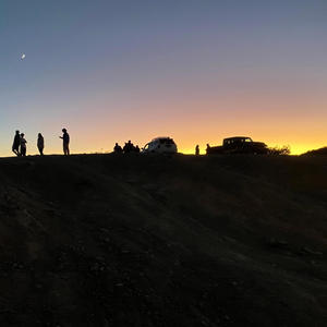 Whiskey and Tears (feat. Wendy Adele Evered)