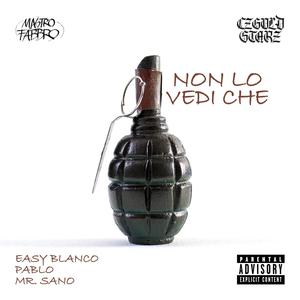 Non Lo Vedi Che (feat. Easy Blanco, Mr. Sano, Pablo & Mastro Fabbro) [Explicit]