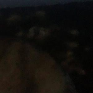 Tired of it (Explicit)