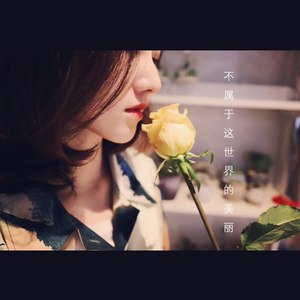 不属于这世界的美丽