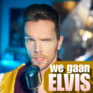 We Gaan Dom (Elvis remix)