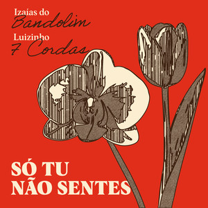 Só Tu Não Sentes
