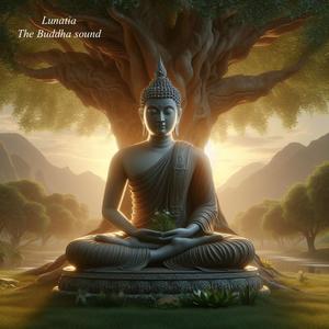 The Buddha sound