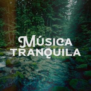 Musica Tranquila