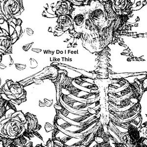 Why Do I Feel Like This (Explicit)