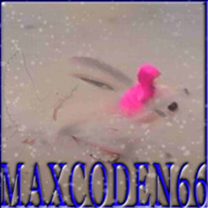 MAXCODEN66