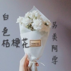 白色桔梗花封面