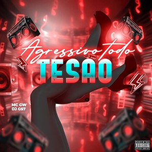 AGRESSIVO TODO TESÃO (Explicit)