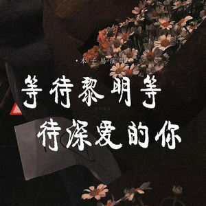 等待黎明 等待深爱的你