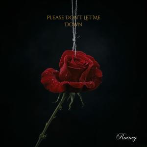 Please Don't Let Me Down