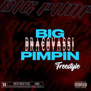 Big Pimpin' Freestyle (Explicit)