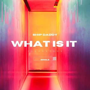 What Is It