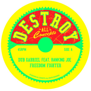 Freedom Fighter (Dubsworth & Tapa Remix)