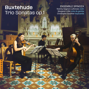 Trio Sonata No.6 in D minor, BuxWV 257
